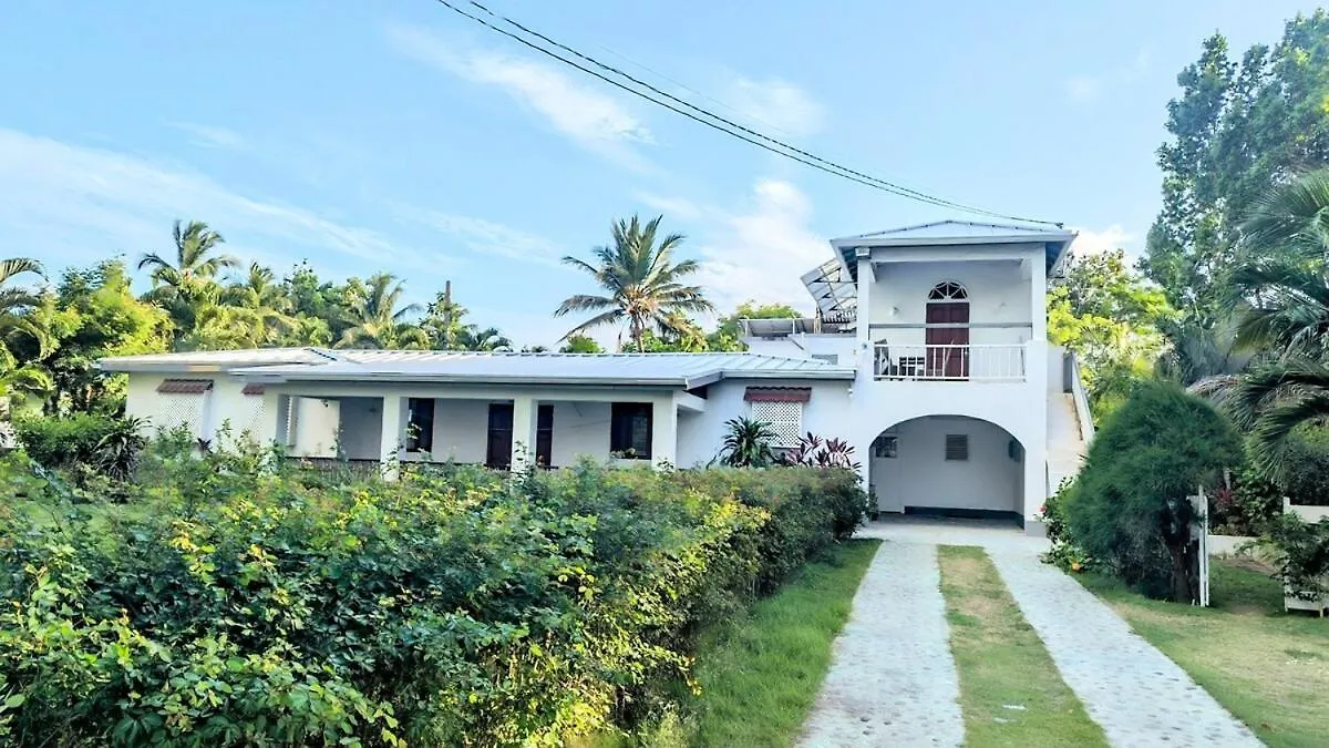 The Coconut Palm Villa- With Wifi And Pool Ocho Rios