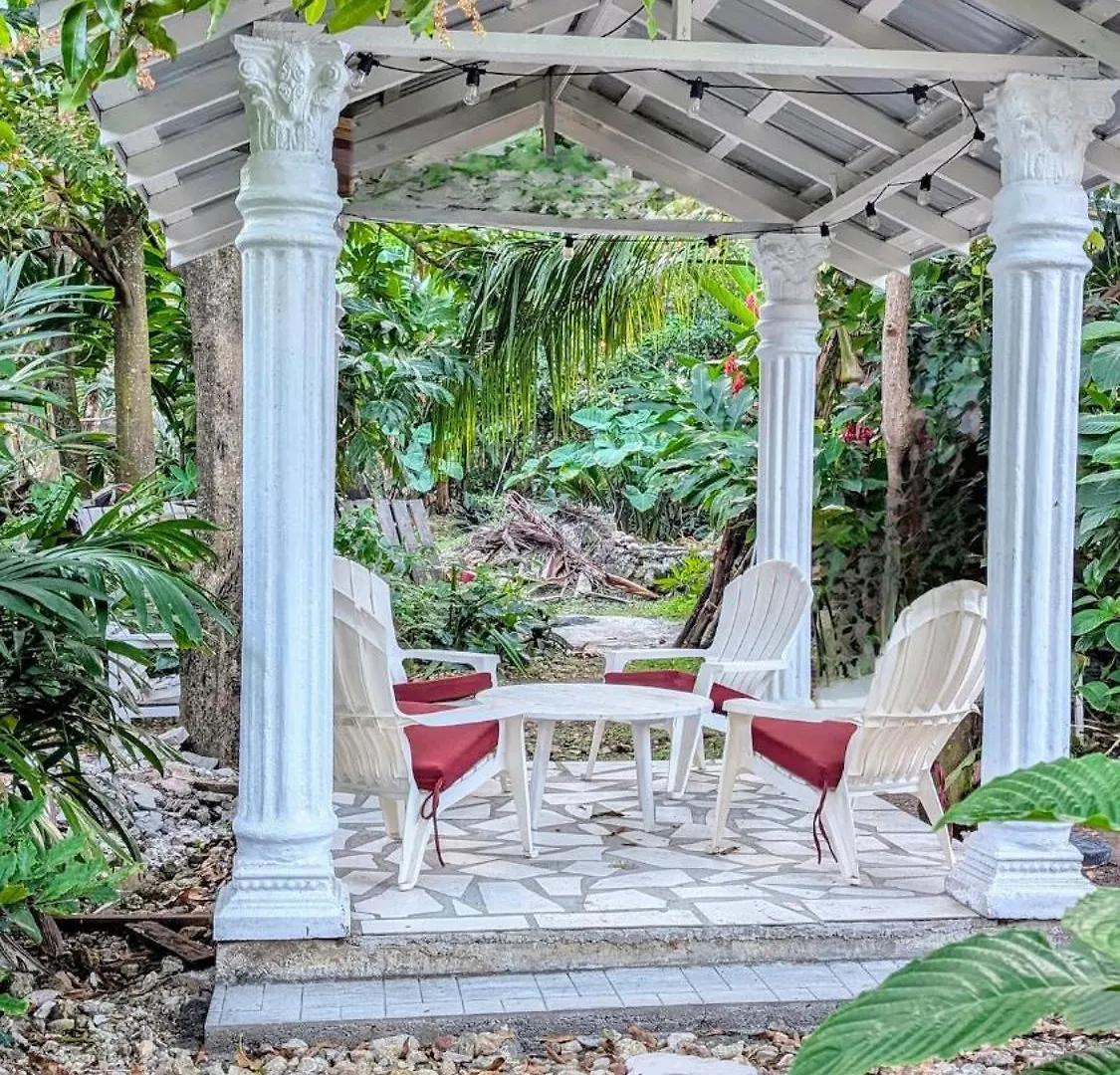 The Coconut Palm Villa- With Wifi And Pool Ocho Rios 0*,