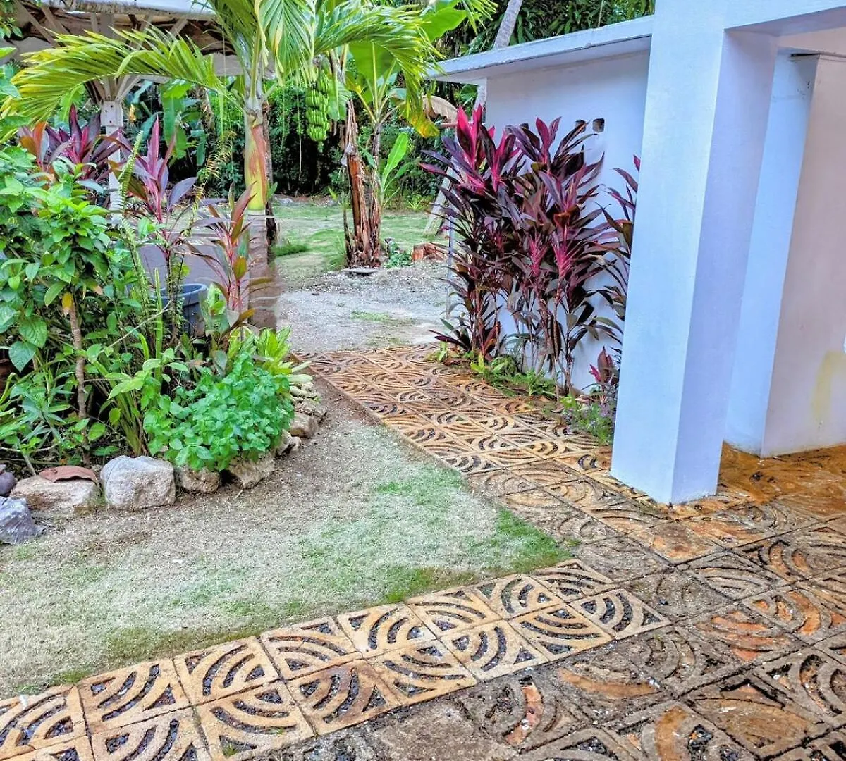 The Coconut Palm Villa- With Wifi And Pool Ocho Rios Jamajka