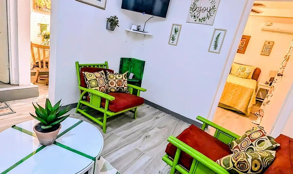 Apartment The Coconut Palm Villa- With Wifi And Pool Ocho Rios Jamaica
