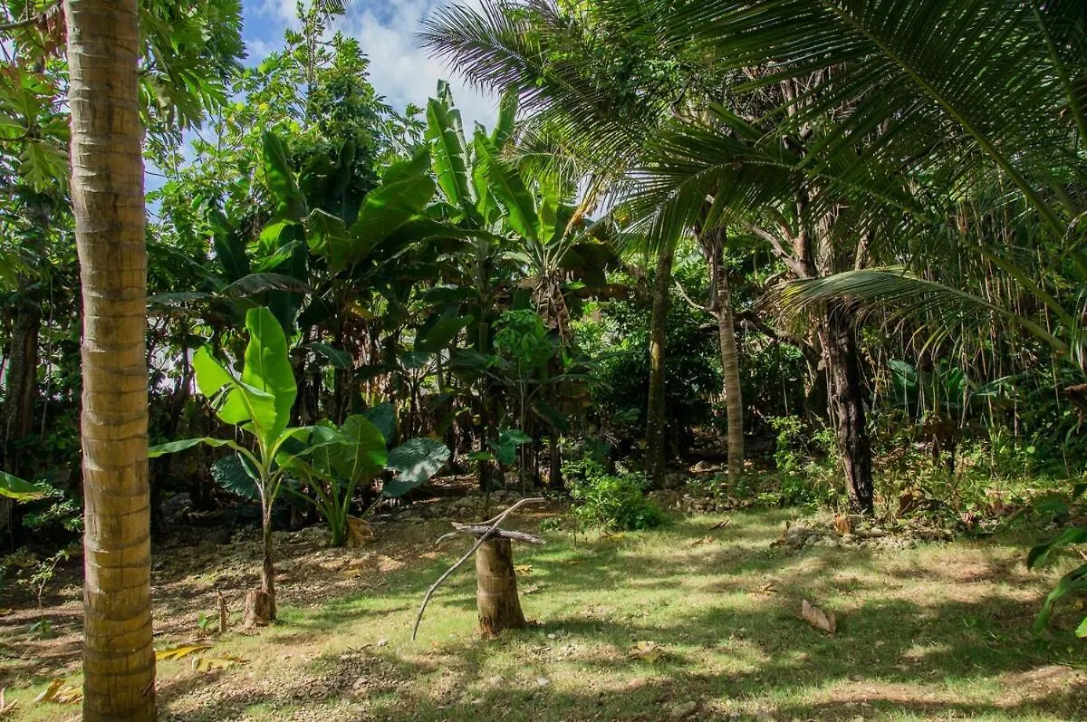 The Coconut Palm Villa- With Wifi And Pool Ocho Rios 0*,  Jamaica