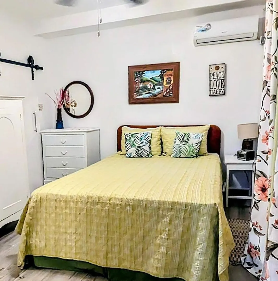 The Coconut Palm Villa- With Wifi And Pool Ocho Rios Apartment