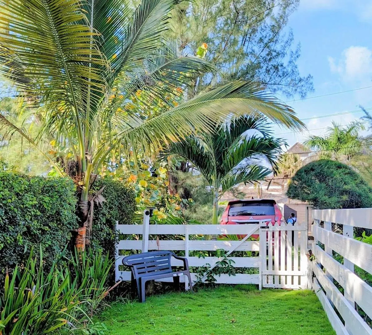 Apartment The Coconut Palm Villa- With Wifi And Pool Ocho Rios
