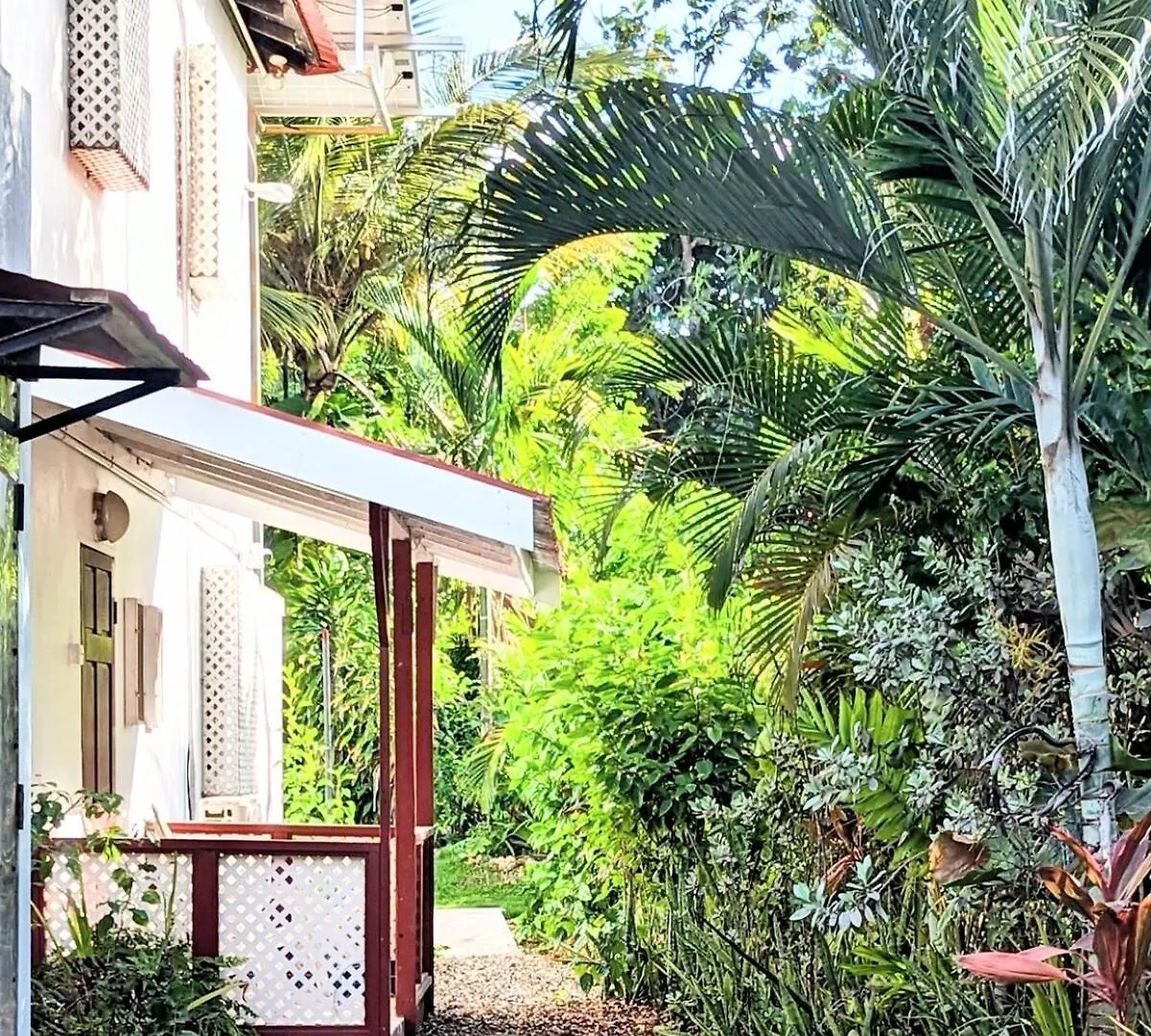 The Coconut Palm Villa- With Wifi And Pool Ocho Rios 0*,  Jamaica