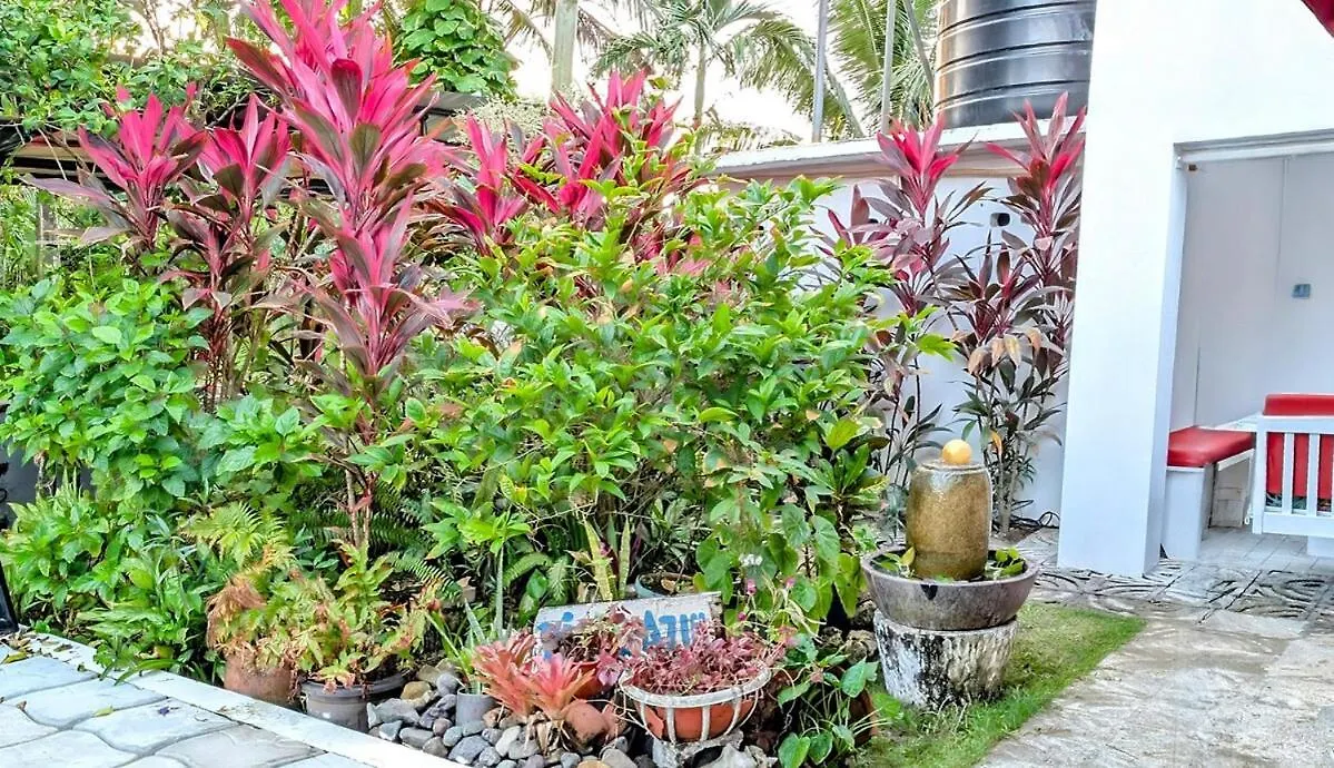 The Coconut Palm Villa- With Wifi And Pool Ocho Rios