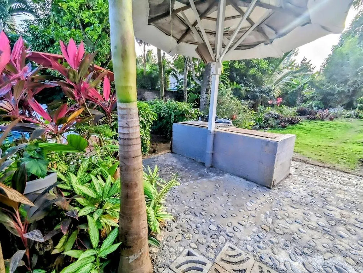 Apartment The Coconut Palm Villa- With Wifi And Pool Ocho Rios
