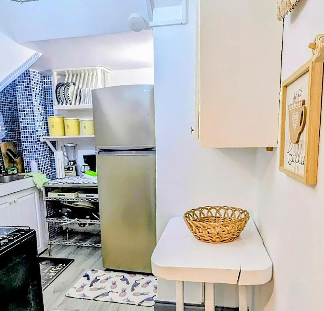 Apartment The Coconut Palm Villa- With Wifi And Pool Ocho Rios