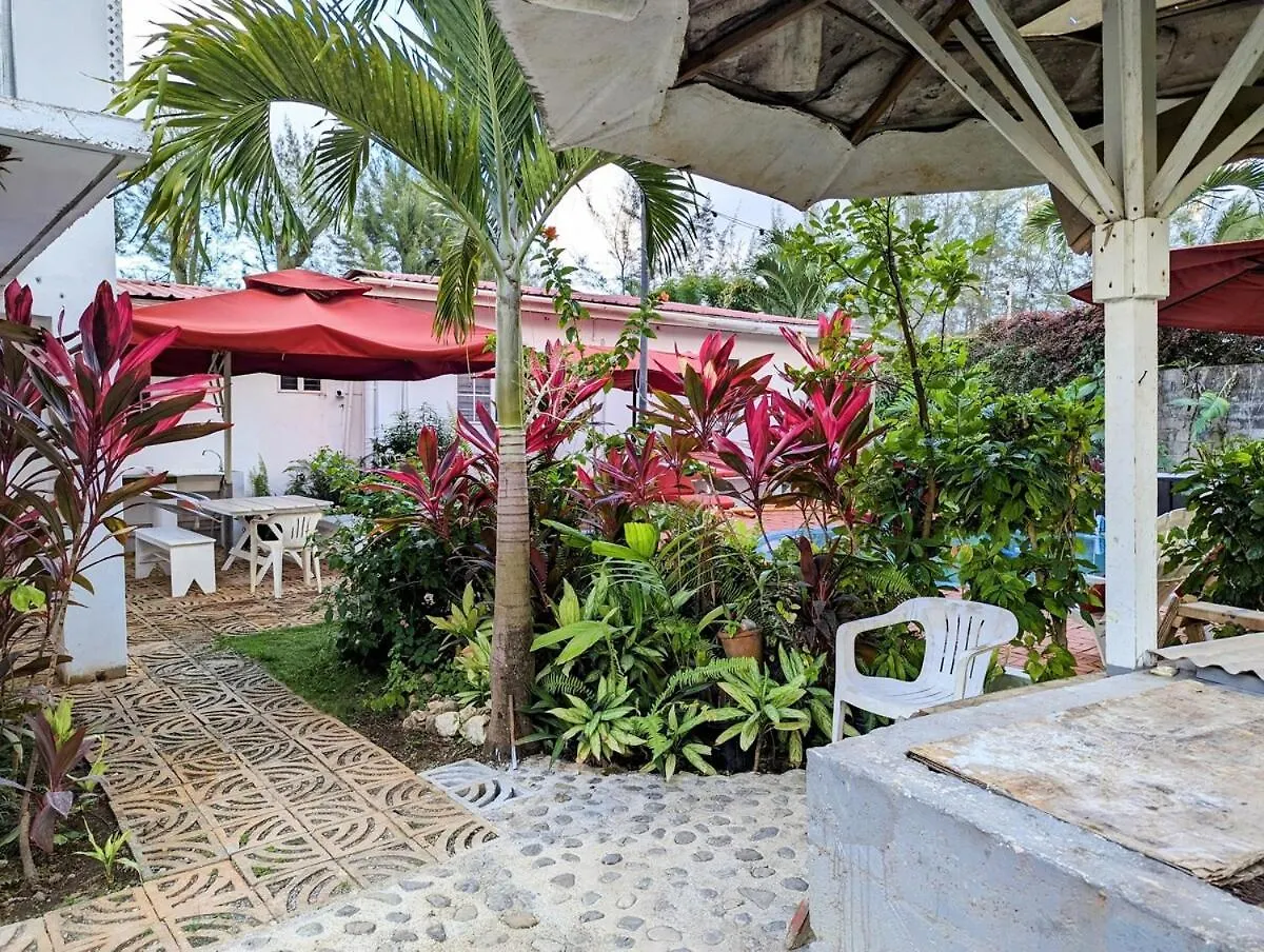 The Coconut Palm Villa- With Wifi And Pool Ocho Rios Jamaica