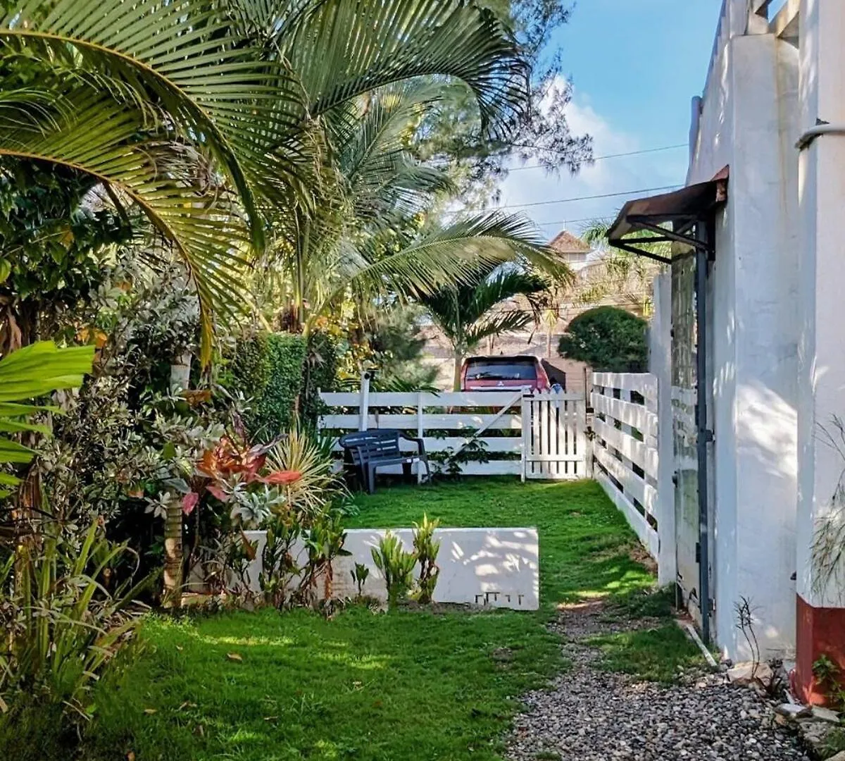 The Coconut Palm Villa- With Wifi And Pool Ocho Rios