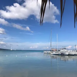 Contemporary Ocean View 2bed Carib Apartment